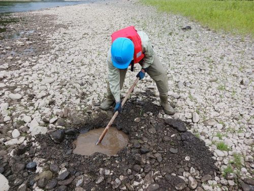 河床材料調査 作業状況