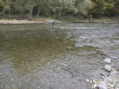 水文調査 河川流量調査